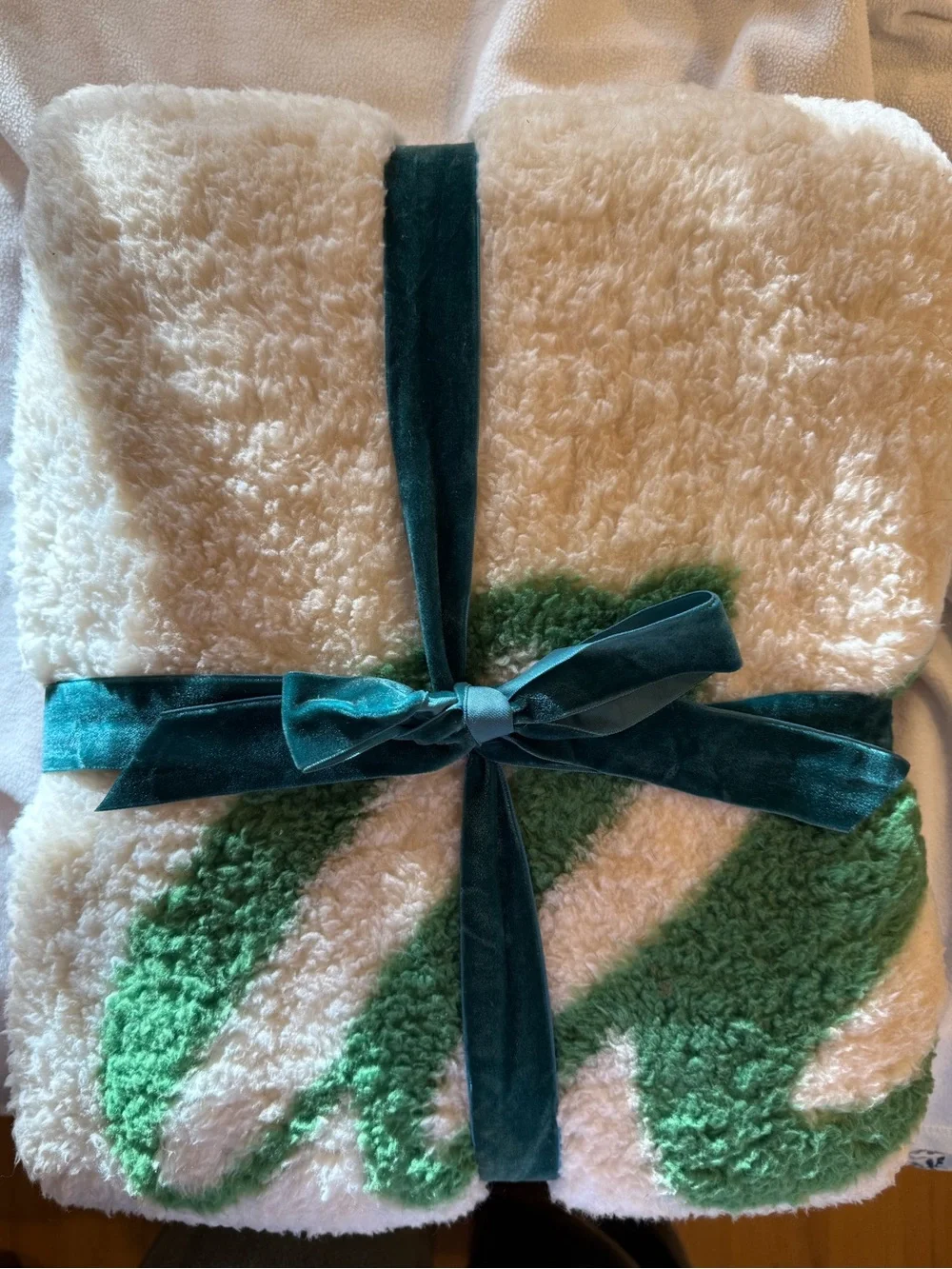 Aerie NWT Cozy Colorful Sherpa Throw with Teal Ribbon